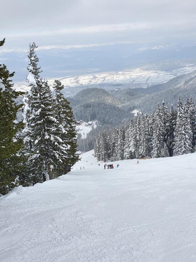 Spacious And Cosy Apartment In Bansko Royal Towers Complex Exteriér fotografie